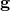 \mathbf{g}