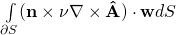 \int\limits_{\partial S} (\mathbf{n} \times \nu \nabla \times \mathbf{\hat{A}} ) \cdot \mathbf{w} dS