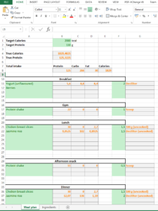 How to Track Your Diet with Excel | Antti Lehikoinen